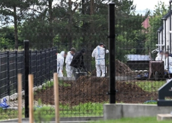У Польщі на приватній земельній ділянці лікарки виявили понад 30 тіл ненароджених дітей – жінку заарештували