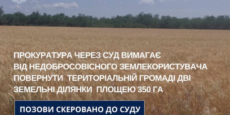 На Миколаївщині прокуратура через суд хоче забрати у недобросовісного орендаря понад 350 га землі