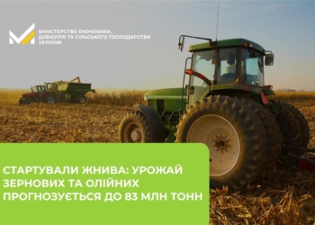 В Україні стартували жнива: врожай зернових та олійних прогнозується на рівні 81-83 млн тонн