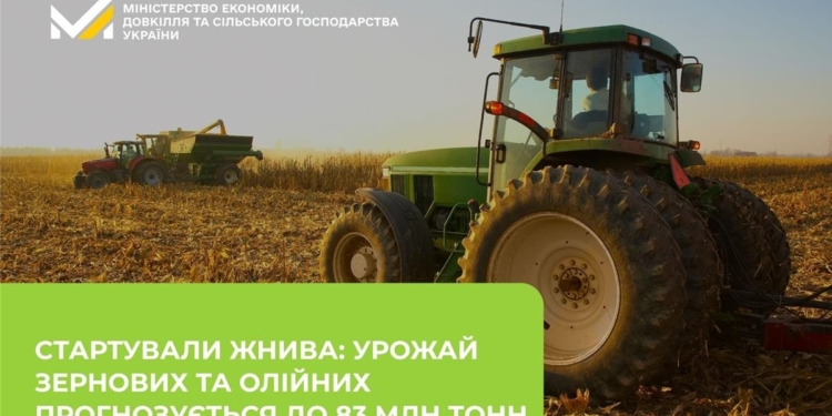В Україні стартували жнива: врожай зернових та олійних прогнозується на рівні 81-83 млн тонн