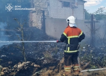 Миколаївщина у вогні – вогонь охопив 30 га
