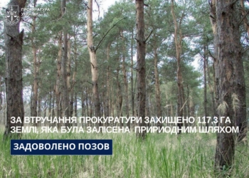 Суд зобов’язав Миколаївську міськраду розглянути питання та прийняти рішення щодо віднесення 117,3 га до самозалісених земель