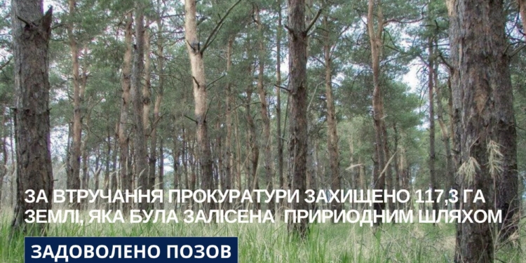 Суд зобов’язав Миколаївську міськраду розглянути питання та прийняти рішення щодо віднесення 117,3 га до самозалісених земель