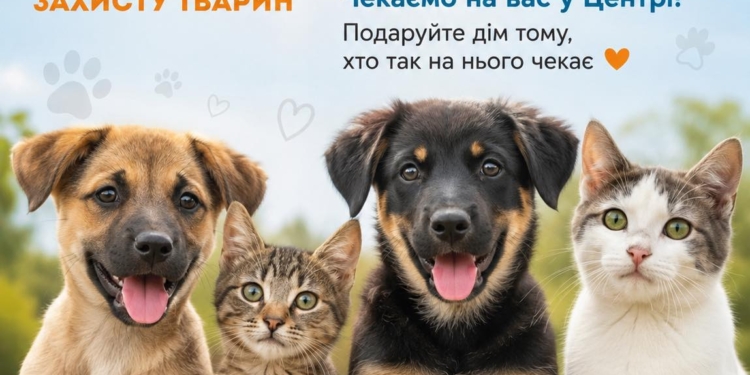 Центр захисту тварин не проводитиме влітку виставки-прилаштування в Миколаєві, але щосуботи запрошує до себе