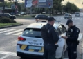 У Миколаєві на проспекті збили жінку, поліція шукає свідків (ФОТО)