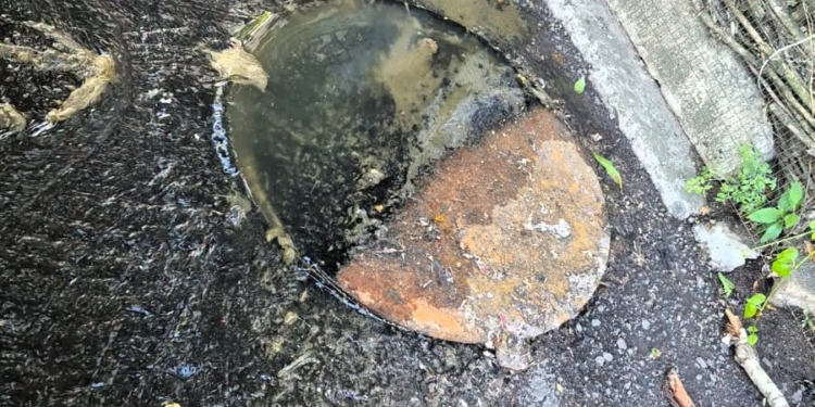 У Миколаєві в мікрорайоні Намив зафіксовано скид неочищених стічних вод до Бузького лиману (ФОТО)