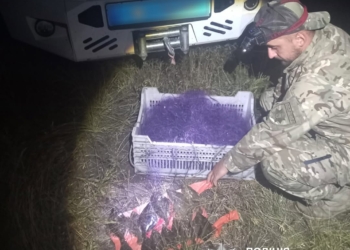 27 браконьєрських сіток, десятки кілограмів незаконно виловленої риби – «улов» поліцейських Миколаївщини за тиждень (ФОТО)