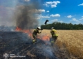 За добу на Миколаївщині було 42 пожежі – тільки дві з них через російські обстріли (ФОТО)