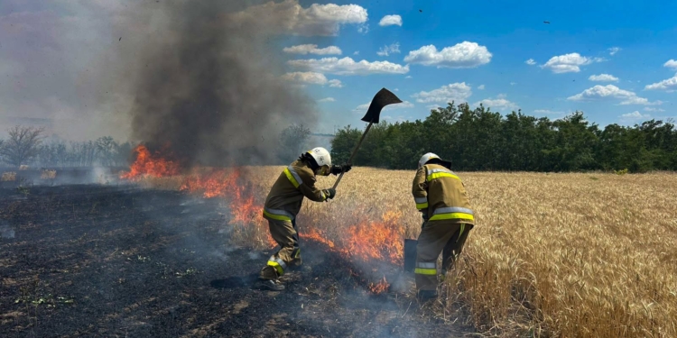 За добу на Миколаївщині було 42 пожежі – тільки дві з них через російські обстріли (ФОТО)