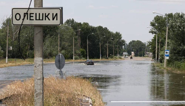 Що відбувається в Олешках, як рятуються і виживають там люди
