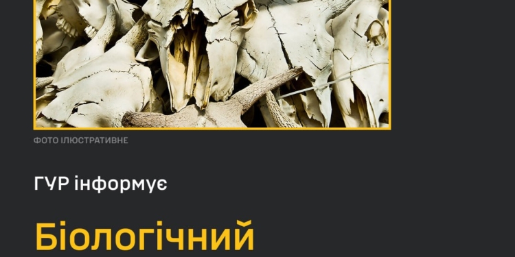 Росіяни створюють умови для поширення сибірської виразки на Херсонщині – ГУР