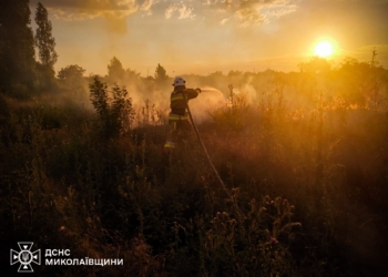 На Миколаївщині за добу гасили 24 пожежі, 2 – через бойові дії