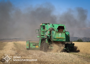 На Миколаївщині за добу гасили 44 пожежі. Що горіло