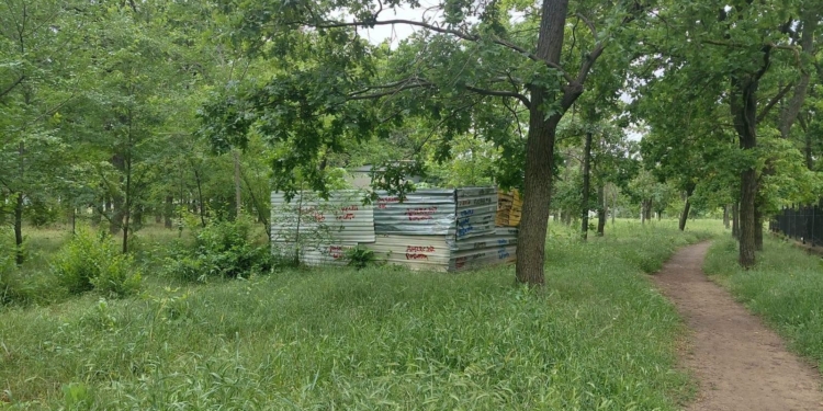 Прокуратура оскаржує в суді надання в оренду земельної ділянки у Миколаєві для будівництва АЗС, через що можуть знести 185 дерев (ФОТО)