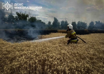 За добу на Миколаївщині ліквідували 11 пожеж різного характеру – вигоріло 1,45 га пшениці на корені (ФОТО)