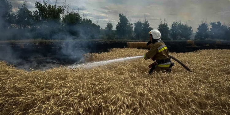 За добу на Миколаївщині ліквідували 11 пожеж різного характеру – вигоріло 1,45 га пшениці на корені (ФОТО)