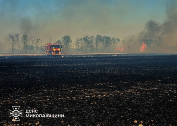 Миколаївщина у вогні – що горіло протягом доби
