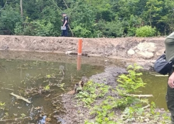 У Первомайську на Миколаївщині держінспектори виявили самовільне перекриття притоки річки Синюха та знищення дерев (ФОТО)