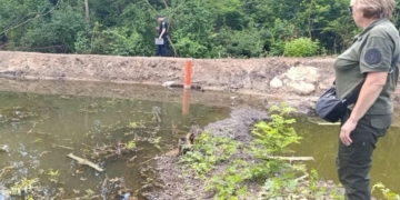 У Первомайську на Миколаївщині держінспектори виявили самовільне перекриття притоки річки Синюха та знищення дерев (ФОТО)
