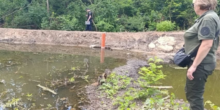 У Первомайську на Миколаївщині держінспектори виявили самовільне перекриття притоки річки Синюха та знищення дерев (ФОТО)