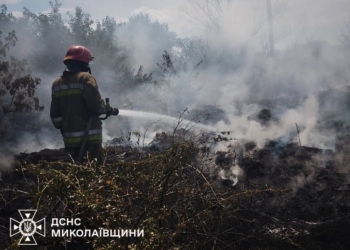 За добу на Миколаївщині було 14 пожеж – вигоріло 4 га відкритих територій (ФОТО)
