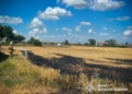 З 12 пожеж на Миколаївщині за добу дві було через російські обстріли