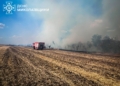 На Миколаївщині за добу гасили 16 пожеж. Що горіло