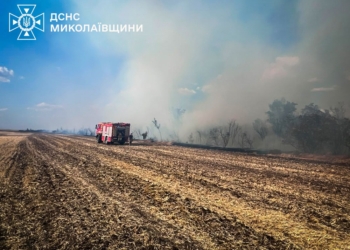 На Миколаївщині за добу гасили 16 пожеж. Що горіло