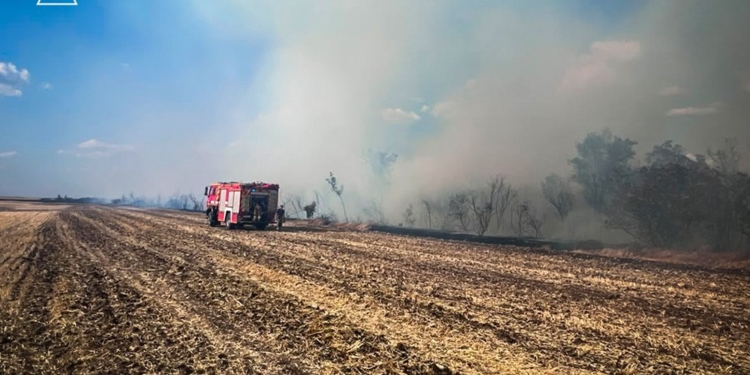 На Миколаївщині за добу гасили 16 пожеж. Що горіло