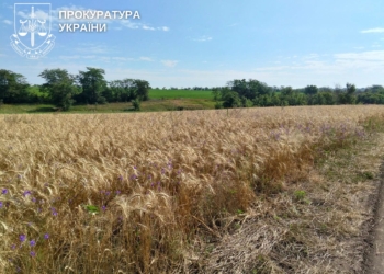 На Миколаївщині прокуратура через суд вимагає повернути закладам освіти понад 69 га землі, які ті протиправно передали під посіви