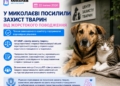У Миколаєві посилили захист тварин від жорстокого поводження – у КП «Центр захисту тварин» тепер є білььше повноважень