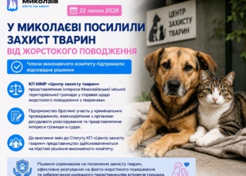 У Миколаєві посилили захист тварин від жорстокого поводження – у КП «Центр захисту тварин» тепер є білььше повноважень
