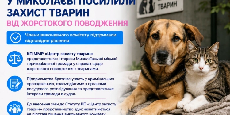 У Миколаєві посилили захист тварин від жорстокого поводження – у КП «Центр захисту тварин» тепер є білььше повноважень