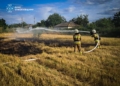 За добу на Миколаївщині зареєстровано 7 пожеж – вигоріло понад 1,5 га (ФОТО)