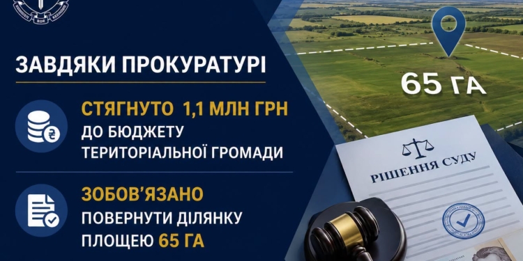 На Миколаївщині суд стягнув 1,1 млн грн з недобросовісного орендаря та зобов’язав його повернути 65 га землі