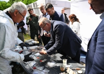 Польський Інститут національної пам’яті  хоче перевезти з України до Польщі артефакти, знайдені в могилах жертв Волинської трагедії