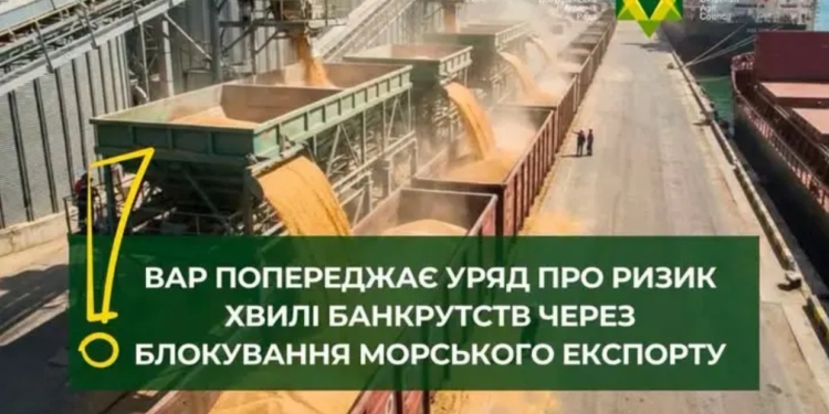 Аграрії попереджають –  зрив експорту через блокаду портів матиме гірші наслідки, ніж навіть у 2022-му