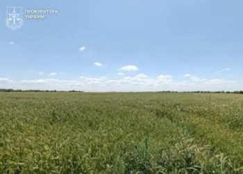 На Миколаївщині за втручання прокуратури розірвано договір оренди землі із недобросовісним орендарем