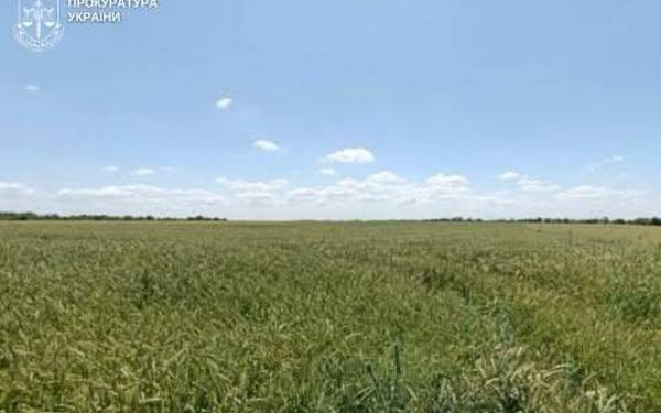 На Миколаївщині за втручання прокуратури розірвано договір оренди землі із недобросовісним орендарем