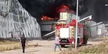 Росіяни скинули авіабомби на птахофабрику у Чорнобаївці під Херсоном. Збитки – на сотні мільйонів доларів (ВІДЕО)