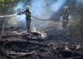 На Миколаївщині знову палають екосистеми – за добу зареєстровано 36 пожеж (ФОТО)