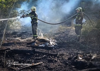 На Миколаївщині знову палають екосистеми – за добу зареєстровано 36 пожеж (ФОТО)