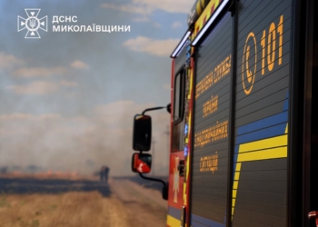 На Миколаївщині протягом доби загасили 39 пожеж, є постраждалі – що горіло (ФОТО, ВІДЕО)