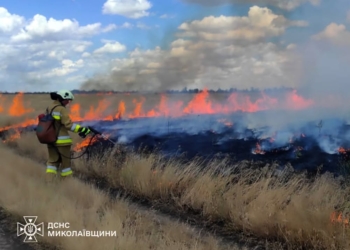 Протягом доби на Миколаївщині спалахнуло 8 пожеж (ФОТО)