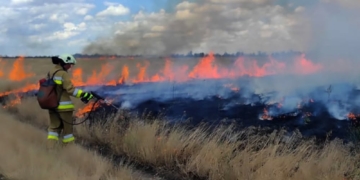 Протягом доби на Миколаївщині спалахнуло 8 пожеж (ФОТО)