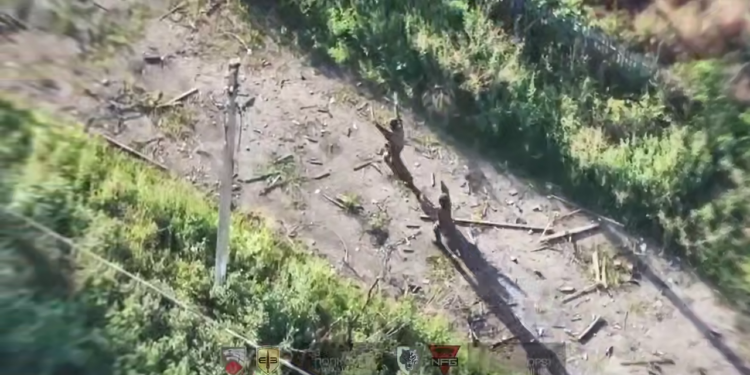 Бійці ССО звільнили село на Донеччині і взяли в полон 30 окупантів (ВІДЕО)