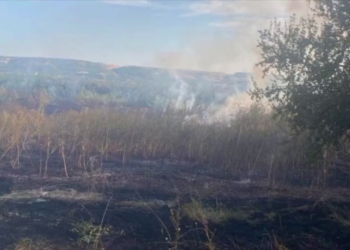 Російська ракета “Бандероль” залетіла у Молдову і вибухнула на кукурудзяному полі (ВІДЕО)