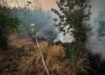 За добу на Миколаївщині вигоріло 35 га відкритих територій (ФОТО)