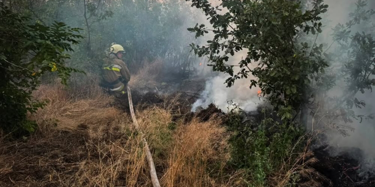 За добу на Миколаївщині вигоріло 35 га відкритих територій (ФОТО)