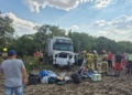 На Миколаївщині у ДТП з автобусом, легковиком та вантажівкою загинув чоловік, травмована жінка (ФОТО)